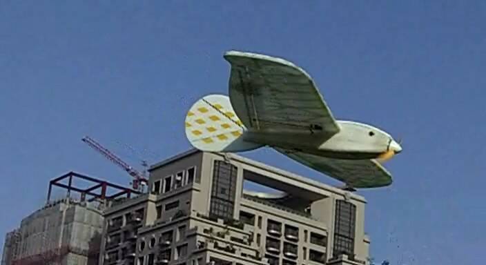 CIMG1139 007_0002.jpg
