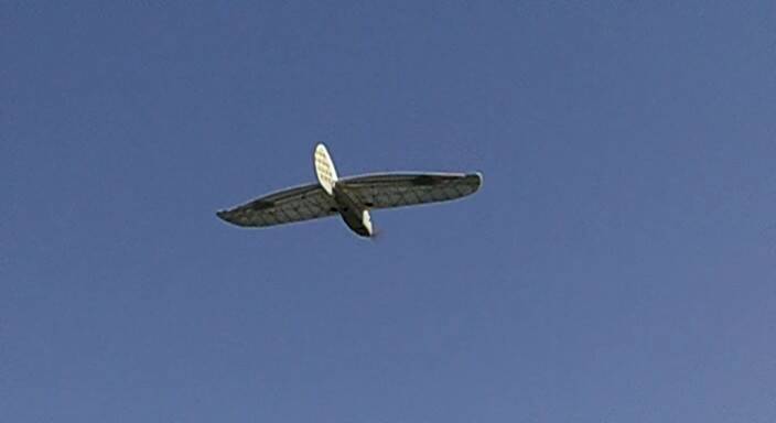 CIMG1139 005_0002.jpg