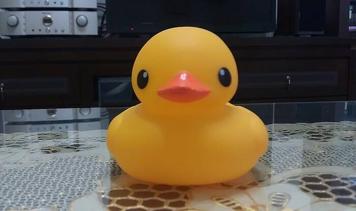 IMAG0882-1.jpg