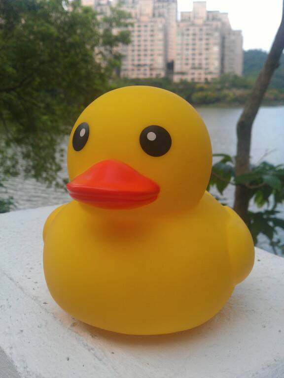 IMAG0038.jpg