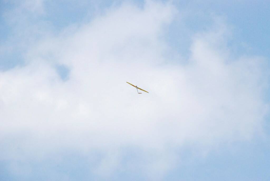 DSC_0297.JPG