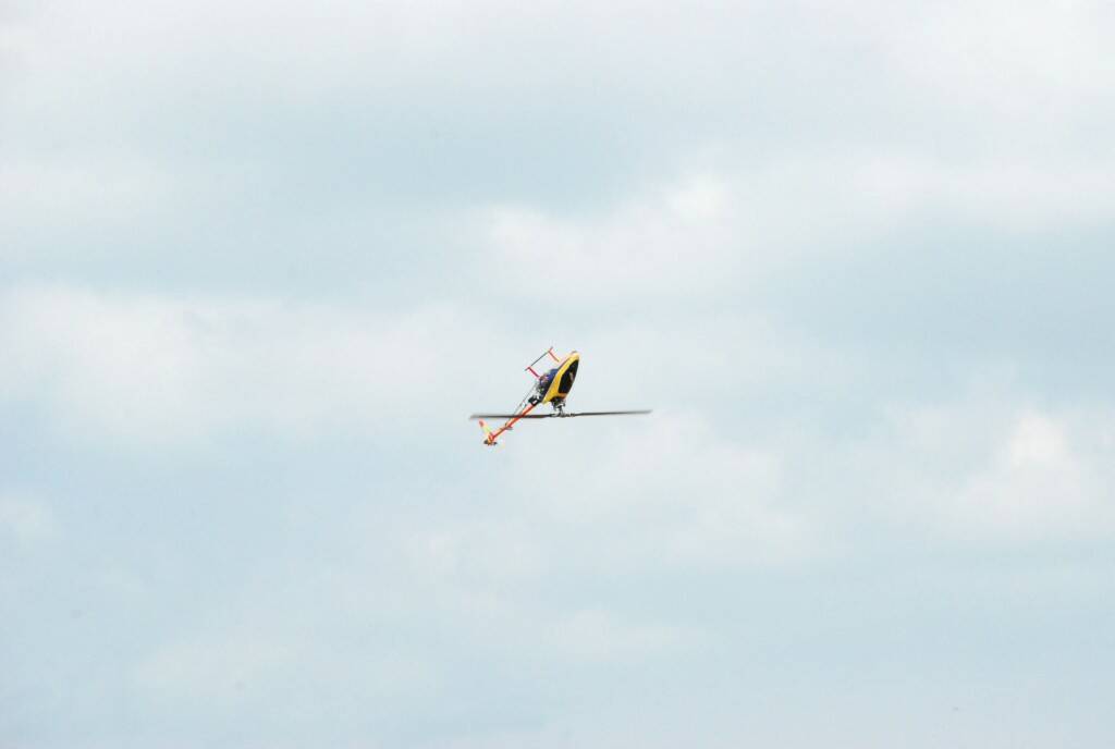 DSC_0318.JPG