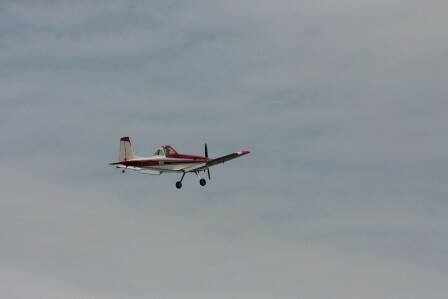 130409021156eea33a56269f4b_jpg_thumb.jpg