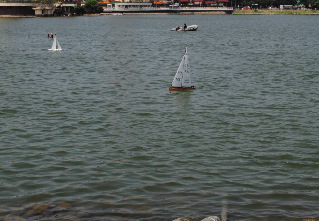 DSC_0208.jpg