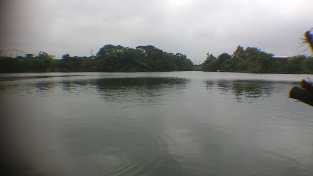 DSC_0416.jpg