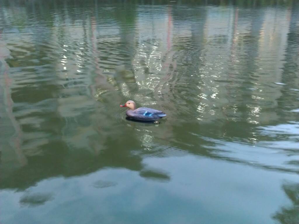 IMAG0092.jpg