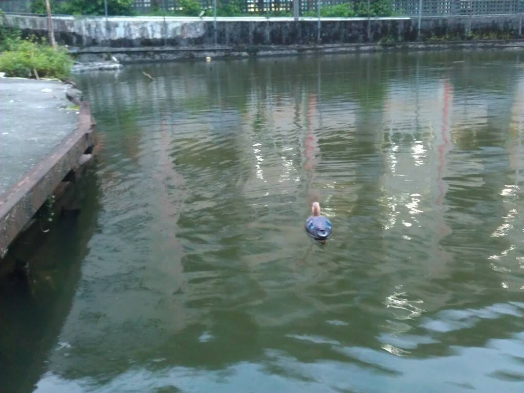 IMAG0093.jpg