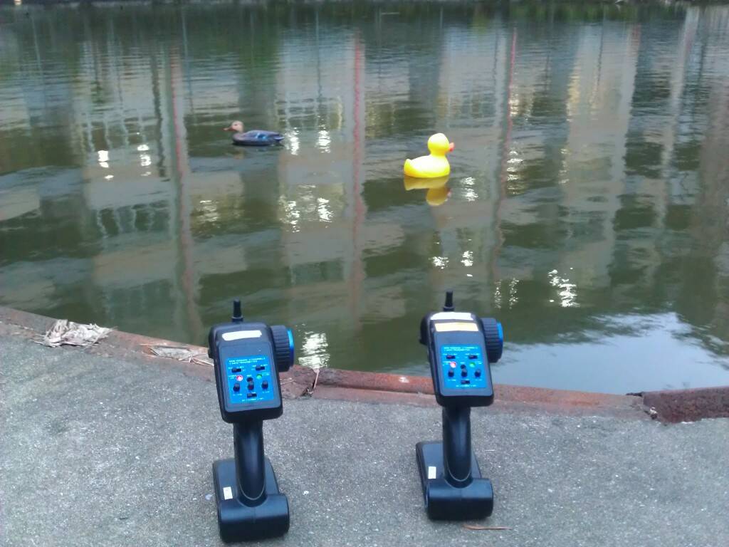 IMAG0096.jpg