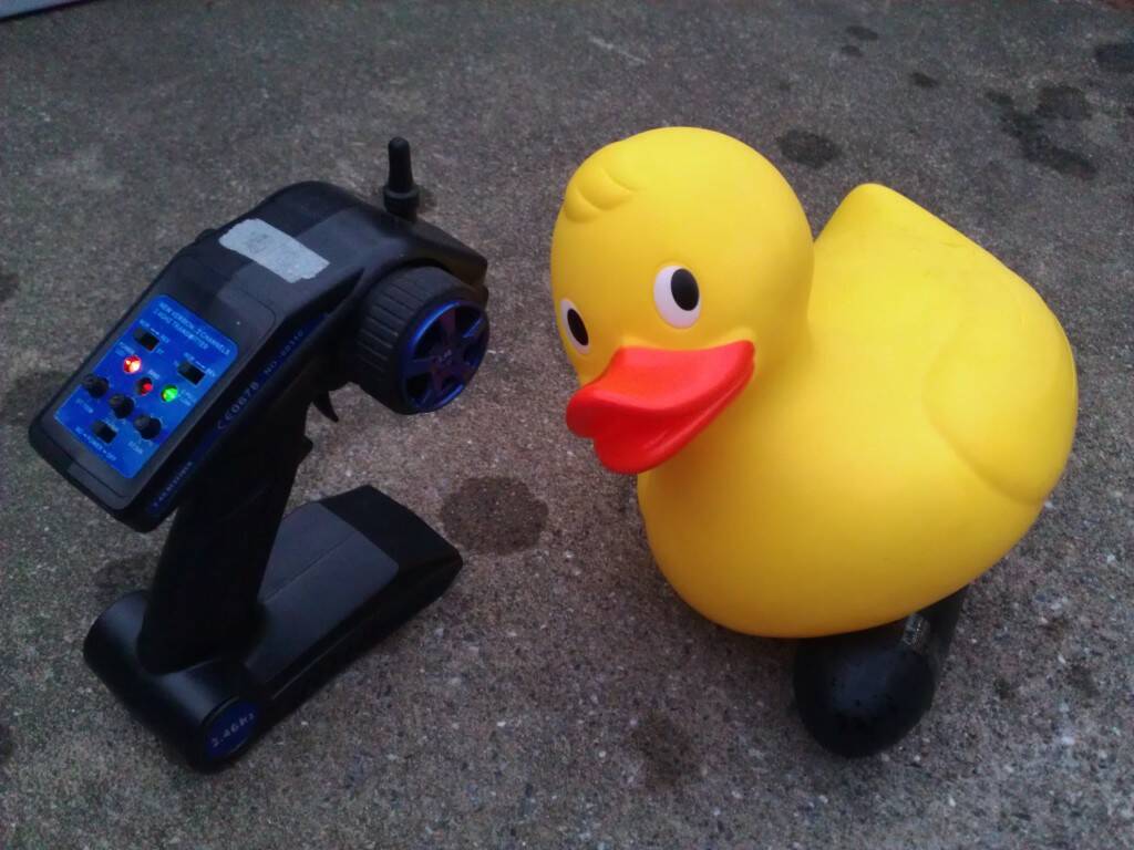 IMAG0100.jpg