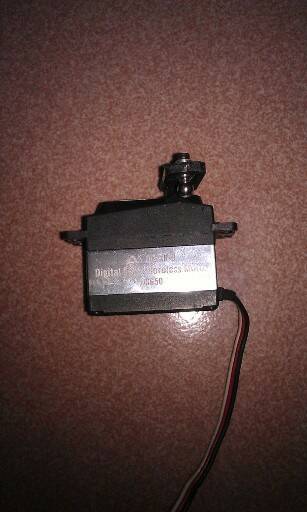 IMAG0202.jpg