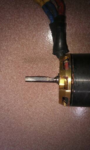 IMAG0209.jpg