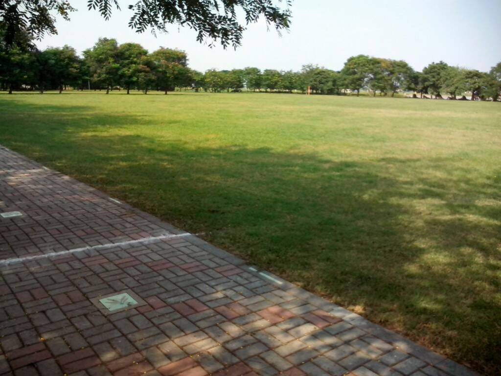 IMG_20131018_134133.jpg