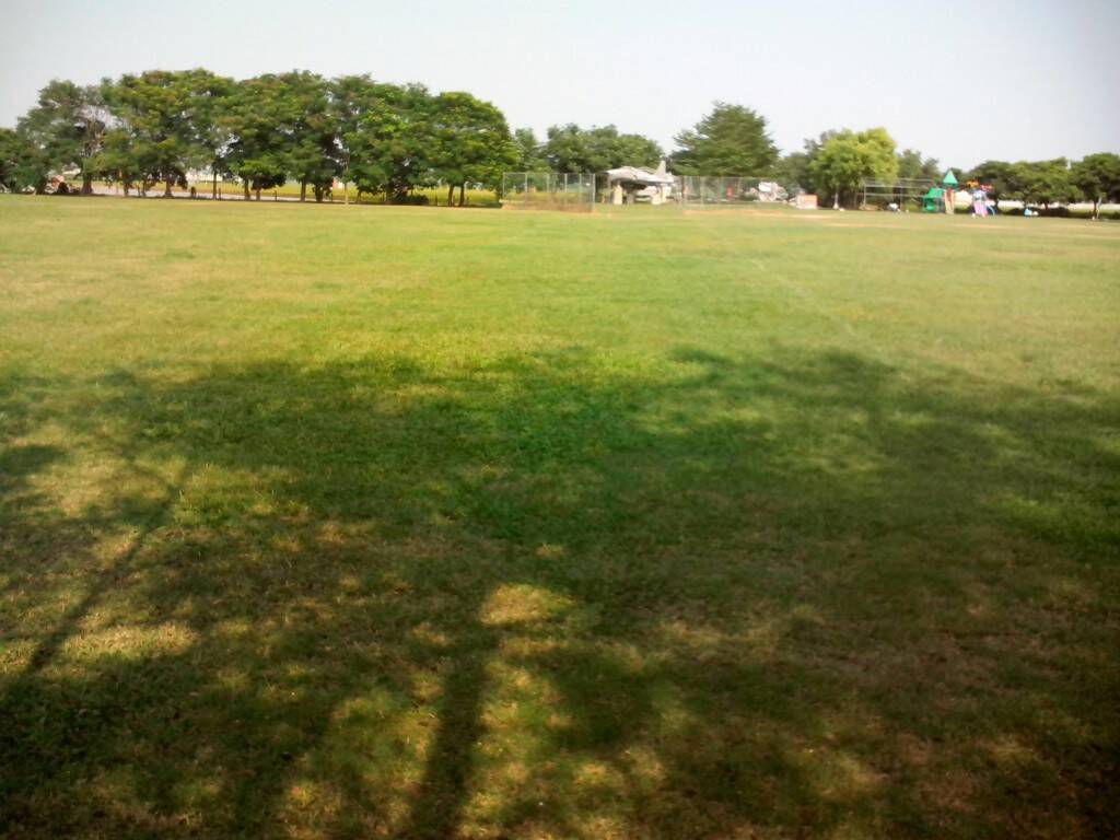 IMG_20131018_134151.jpg
