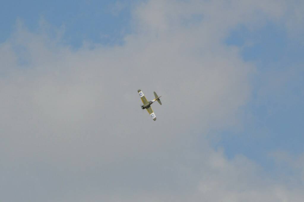 DSC_0846.JPG