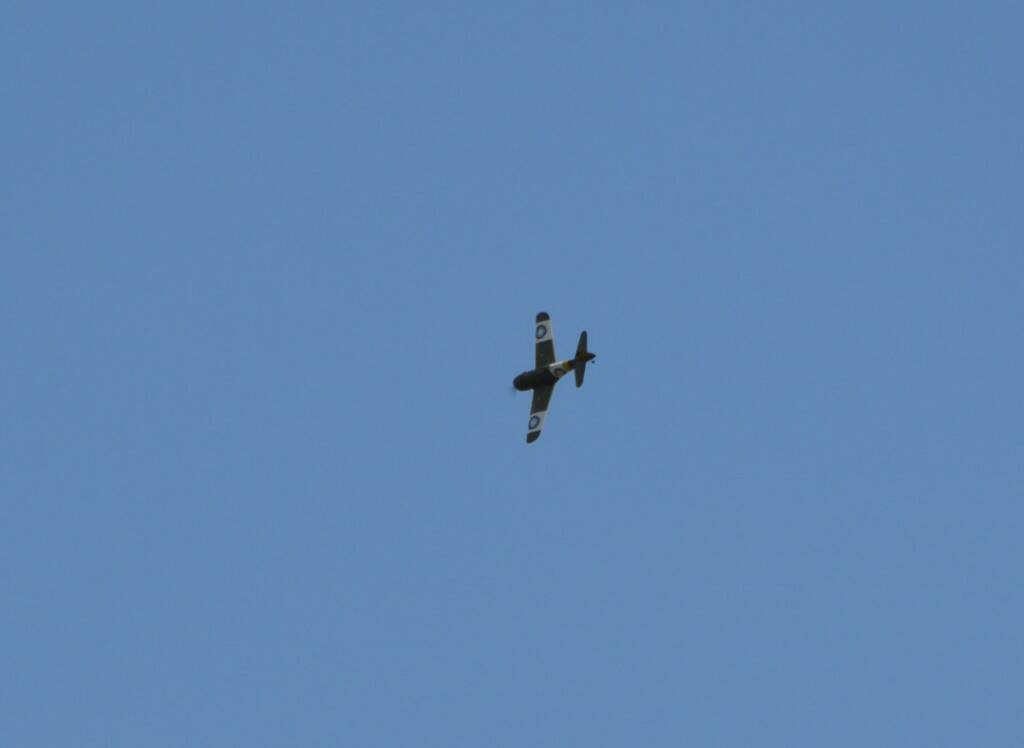 DSC_0841.JPG