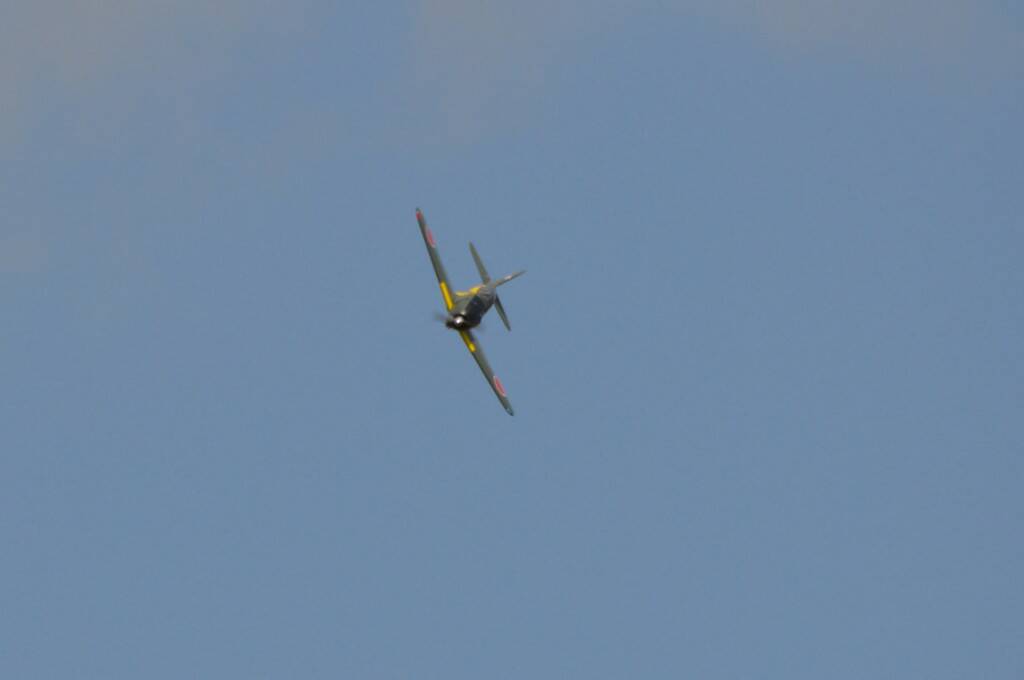 DSC_0904.JPG