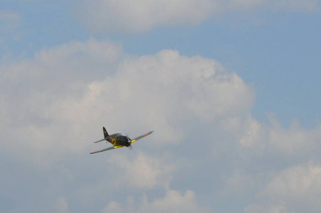 DSC_0919.JPG