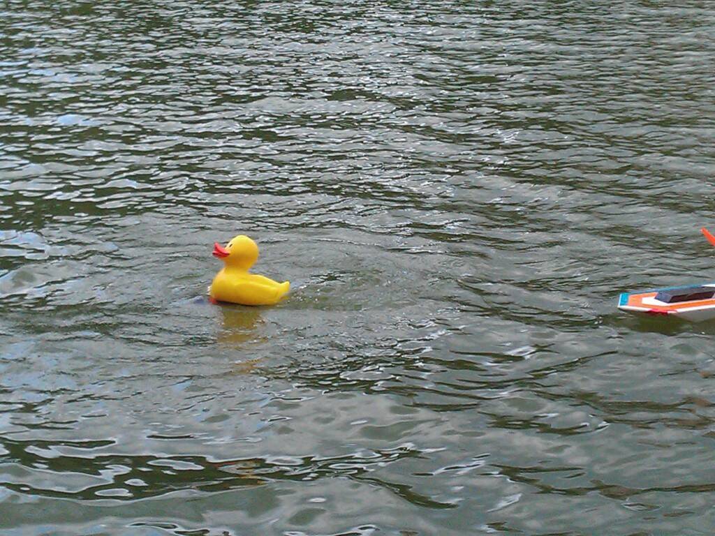 IMAG0184.jpg