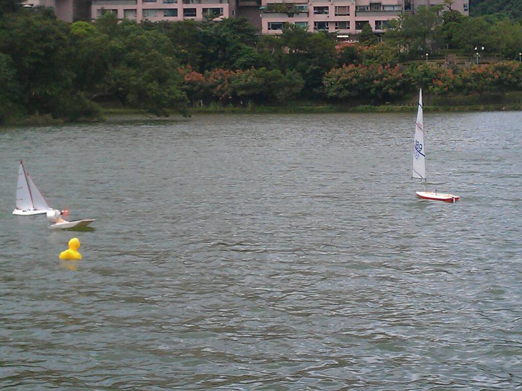 IMAG0179.jpg