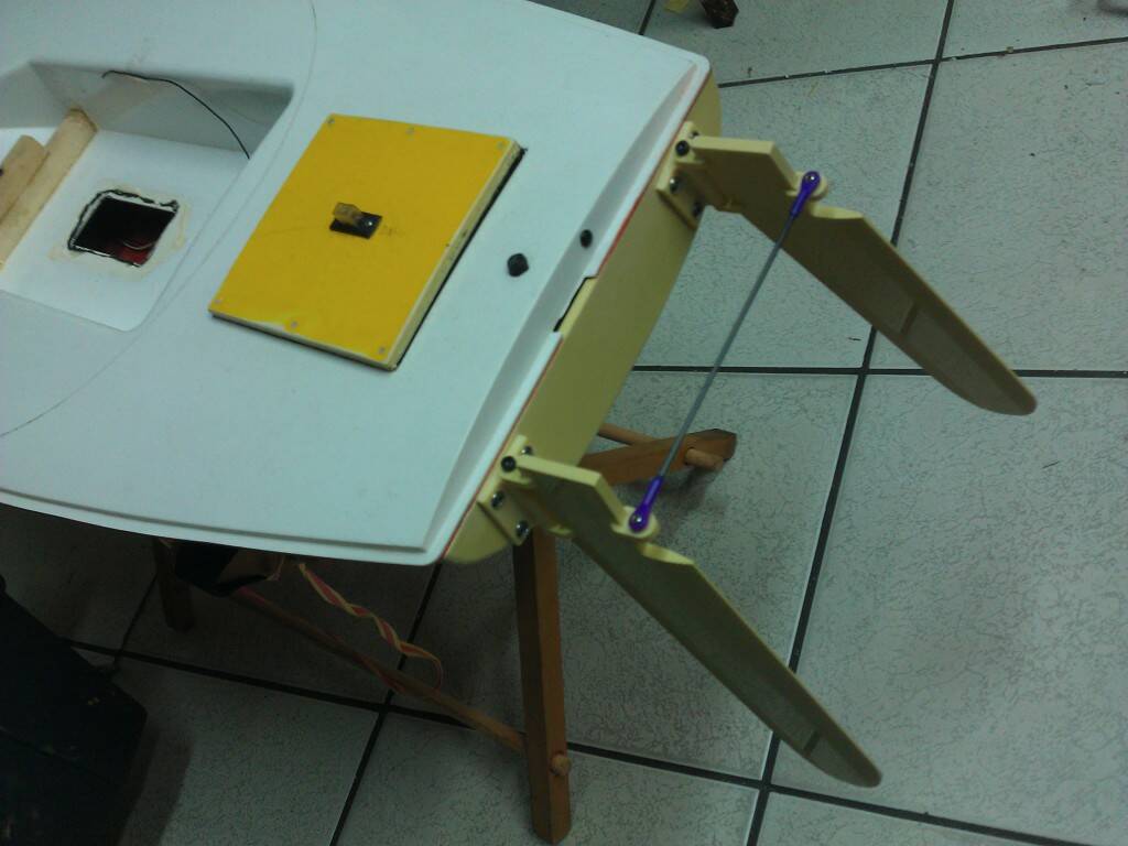 IMAG0186.jpg