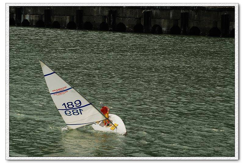 DSC_7246.jpg