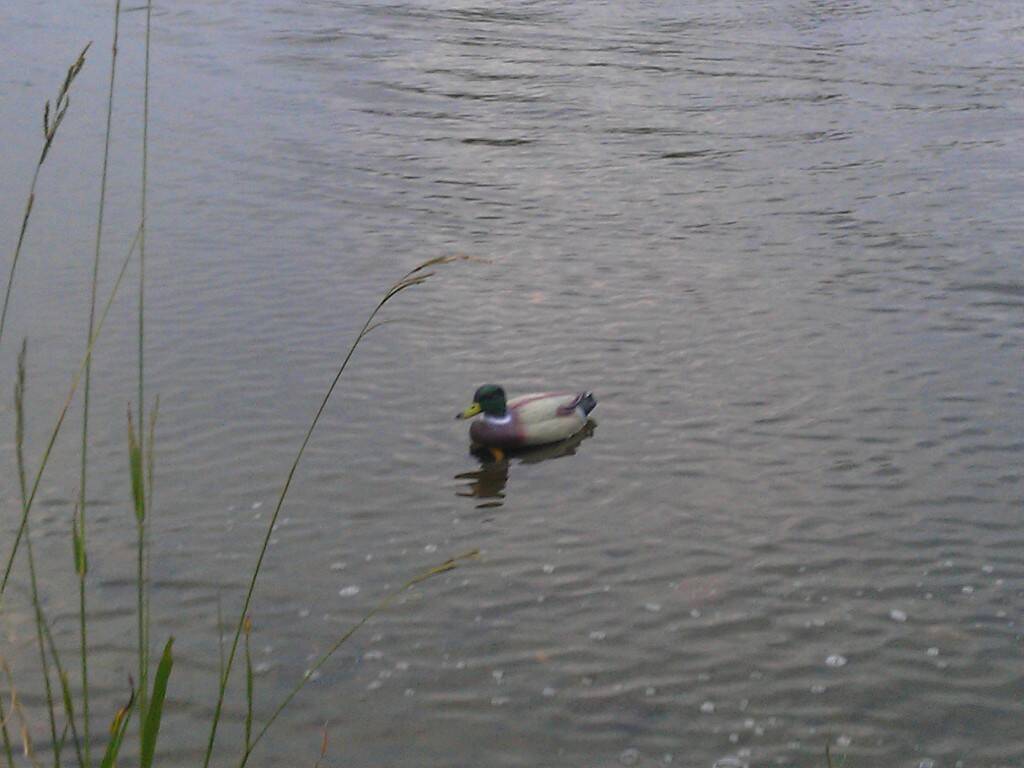 IMAG0302.jpg