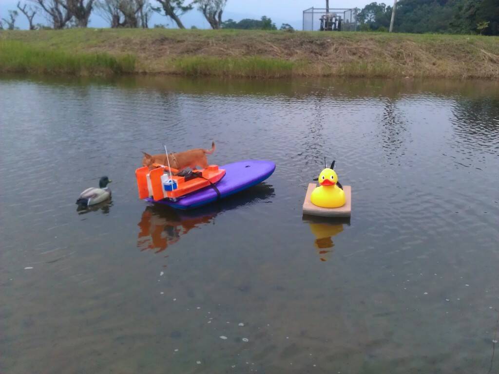 IMAG0308.jpg