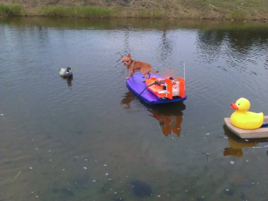 IMAG0310.jpg