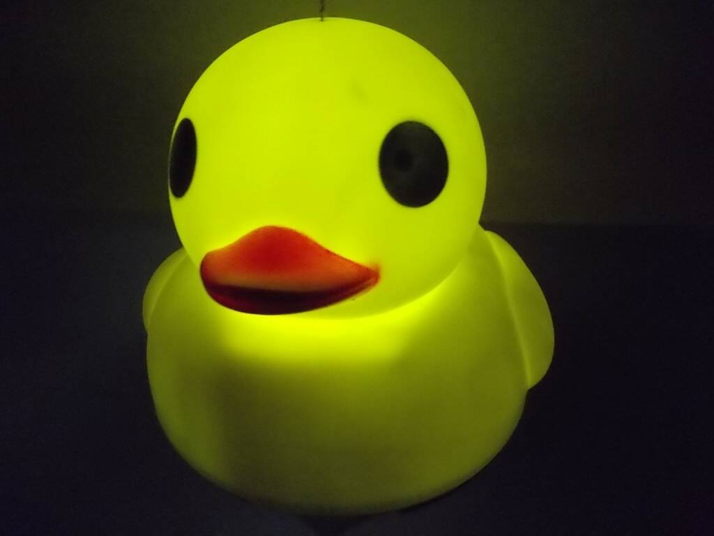 4.JPG