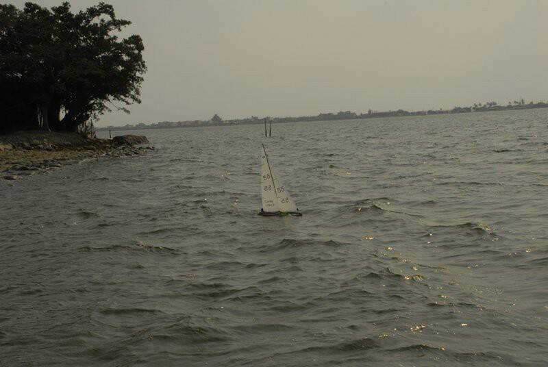 m_DSC_8583.JPG