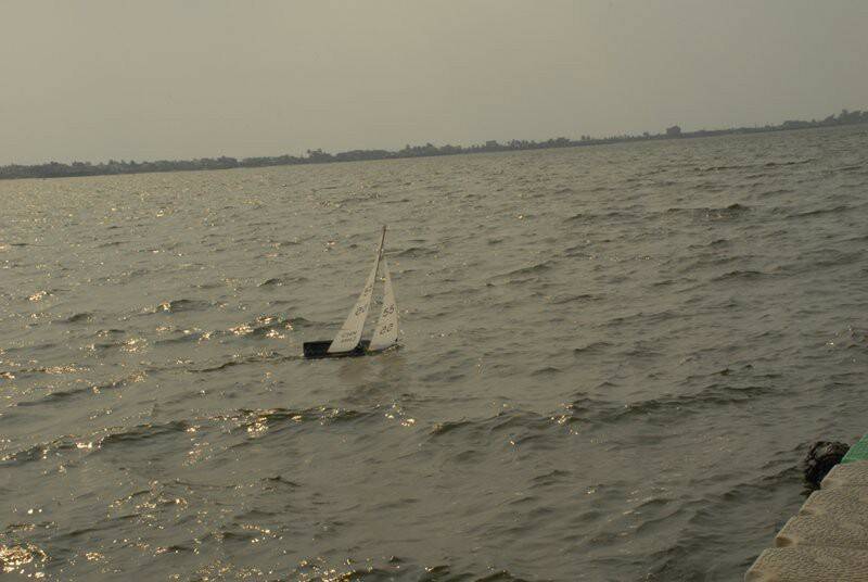 m_DSC_8596.JPG