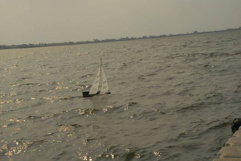 m_DSC_8595.JPG
