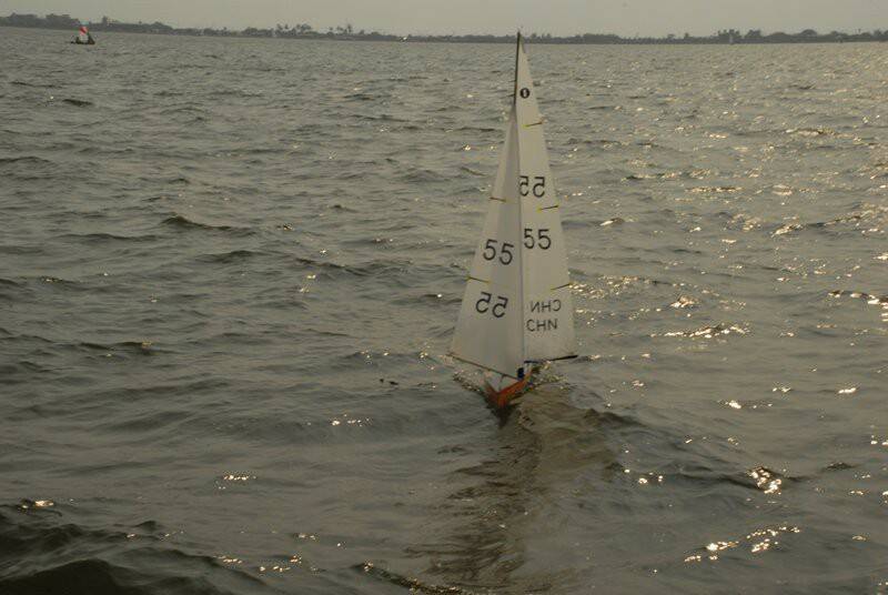 m_DSC_8603.JPG