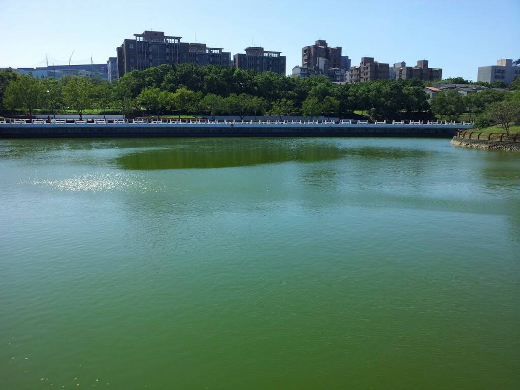 20131019_112440-1.jpg