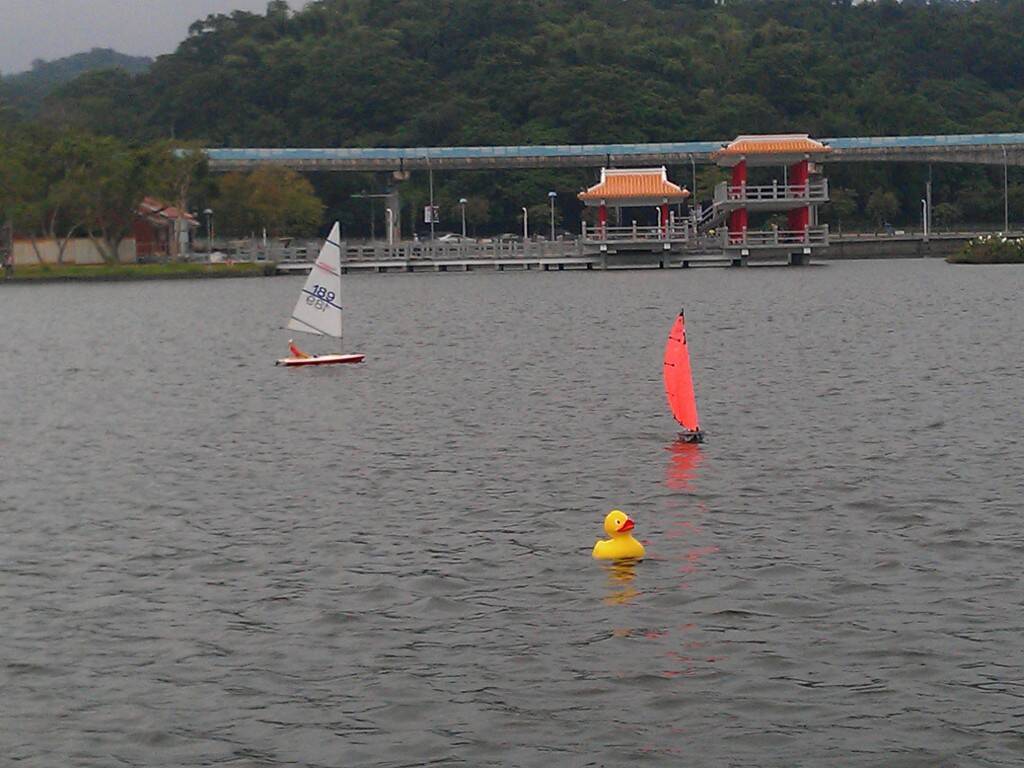 IMAG0388.jpg