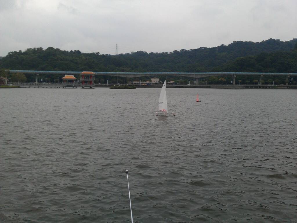 IMAG0395.jpg