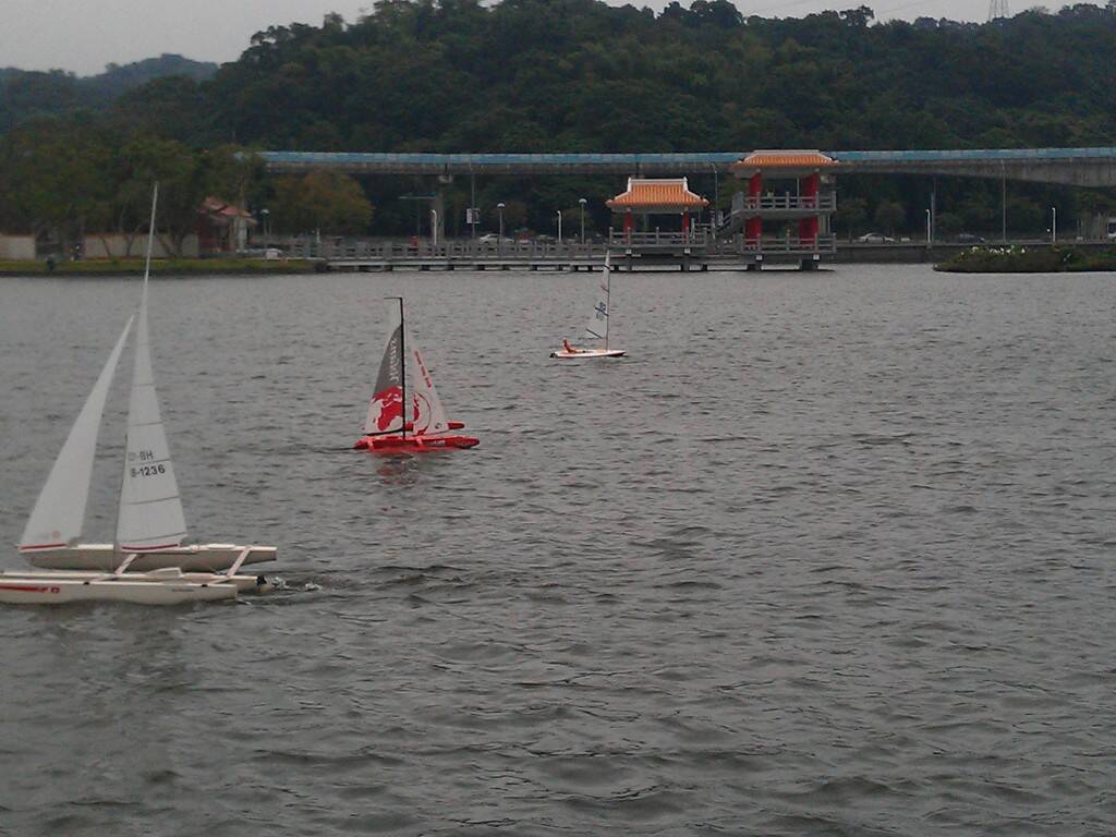 IMAG0396.jpg