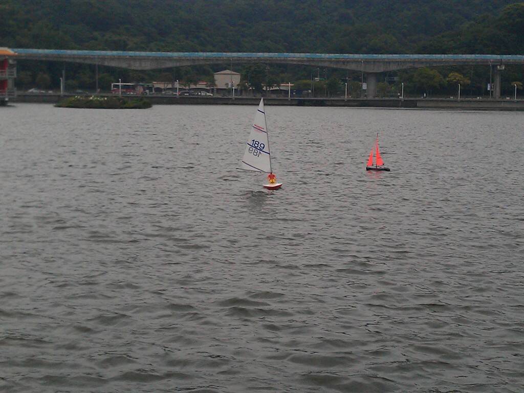IMAG0397.jpg