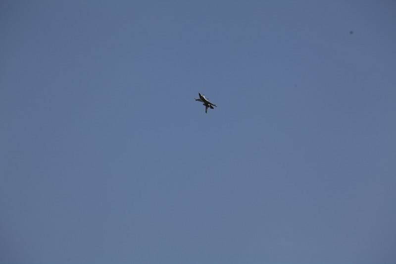 IMG_3445-800.jpg