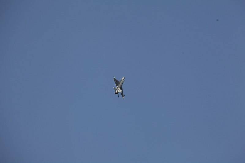 IMG_3451-800.jpg