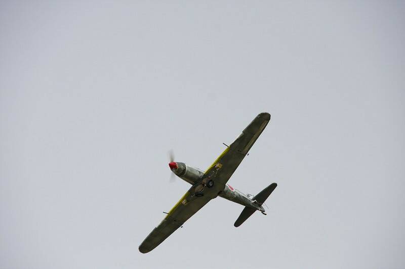 IMG_6512-800.jpg