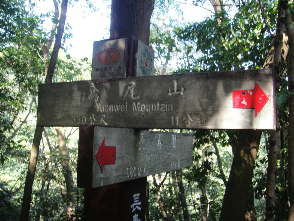 DSC03267.JPG