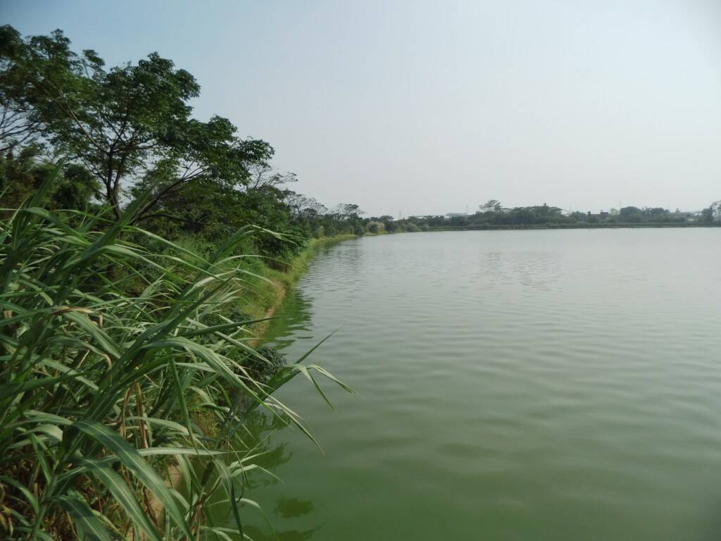 DSCI0391.JPG