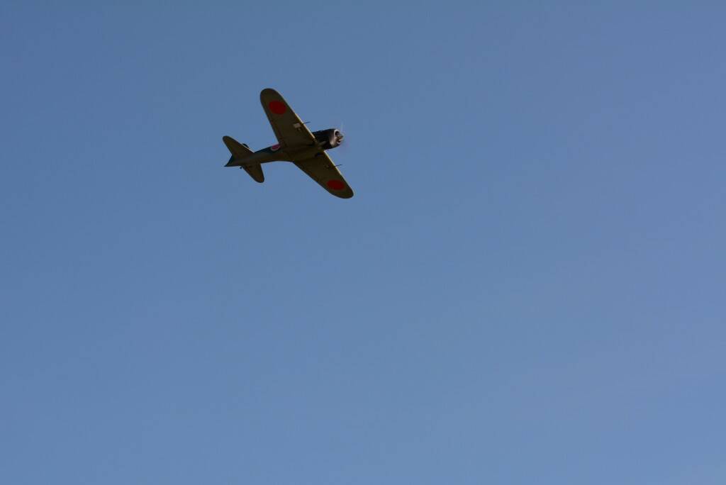 DSC_0124.JPG