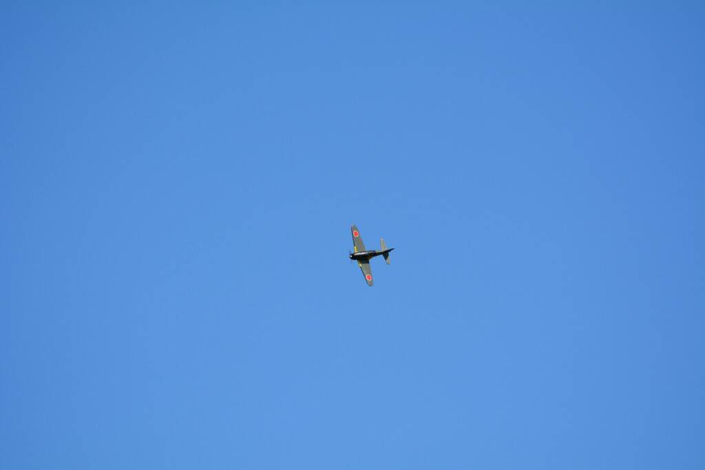 DSC_0158.JPG