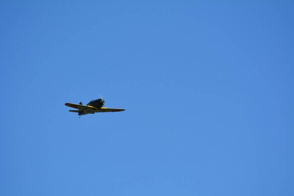 DSC_0162.JPG