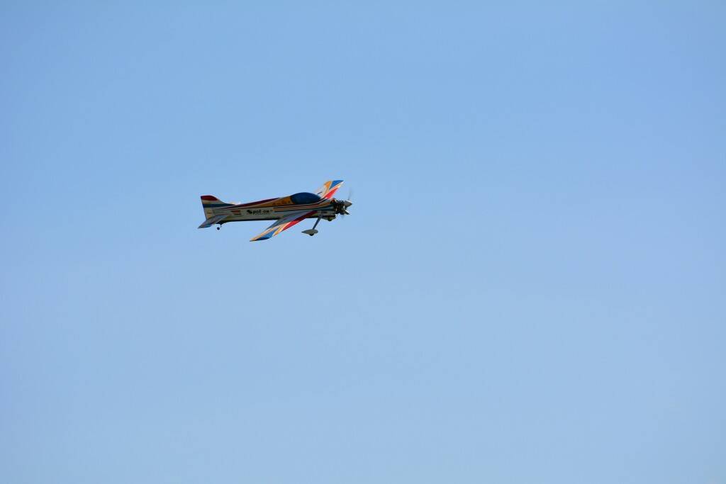 DSC_0210.JPG