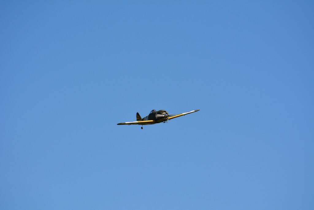DSC_0235.JPG
