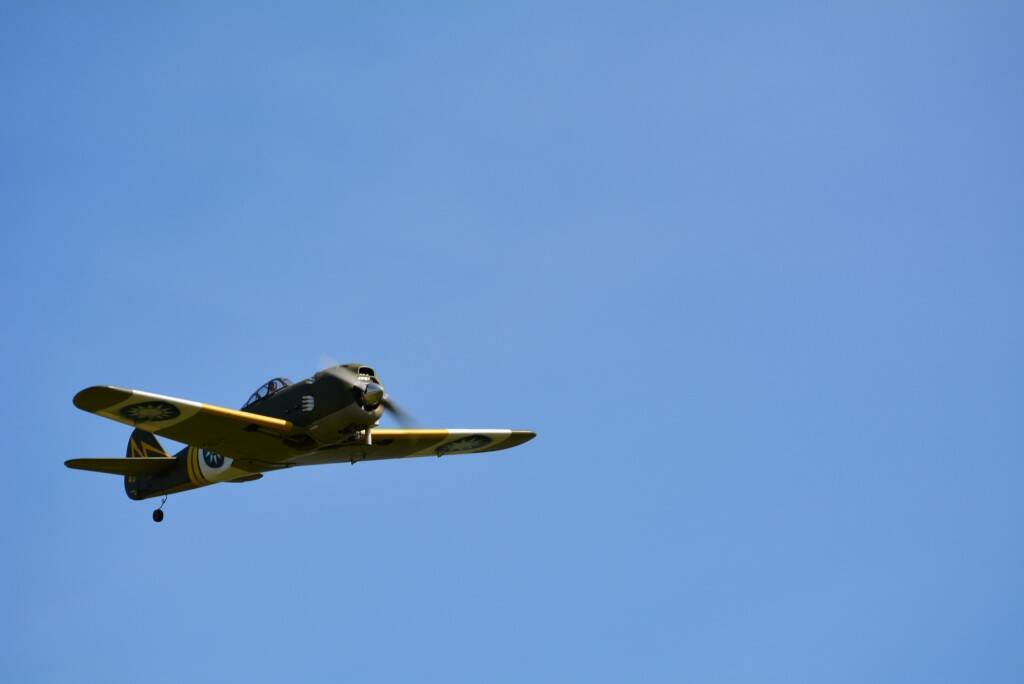 DSC_0237.JPG