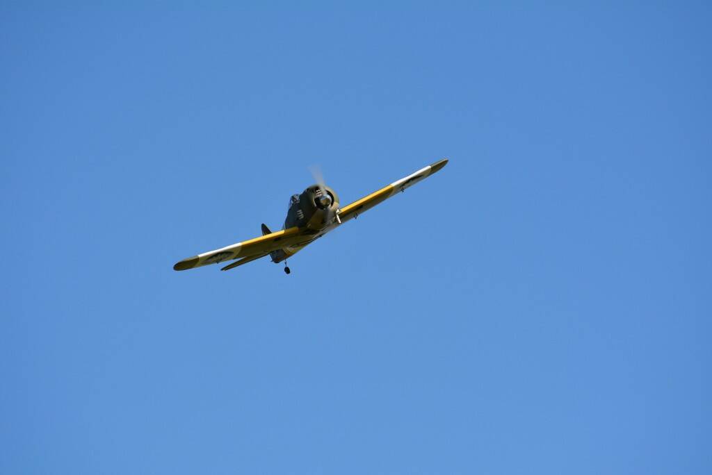 DSC_0244.JPG